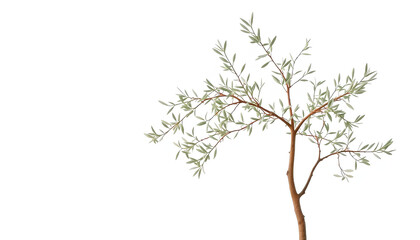 Isolated tree with branches and leaves on a white background
