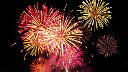 A vibrant display of colorful fireworks lighting up the night sky in various shapes and sizes, creating a festive atmosphere.