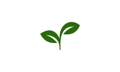 green leaf logo