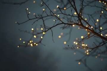 Magical Fairy Lights Twinkling Gently in a Dim Environment.