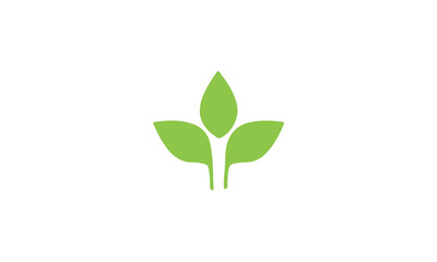 green leaf logo
