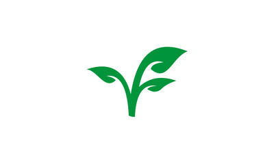 green leaf logo