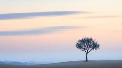 A solitary quiver tree standing tall, framed by soft hues of dusk and subtle cloud patterns fading into the horizon.