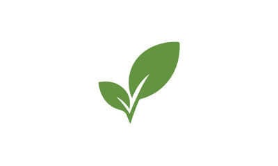 green leaf logo