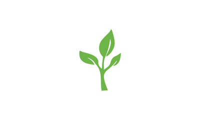 Obraz premium green leaf logo
