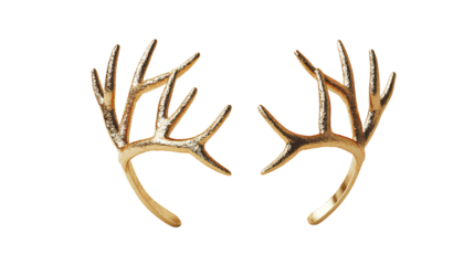 antlers of a deer