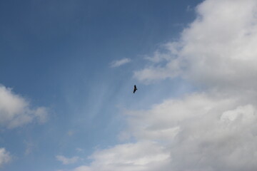 삿포로 여행, SAPPORO TRIP