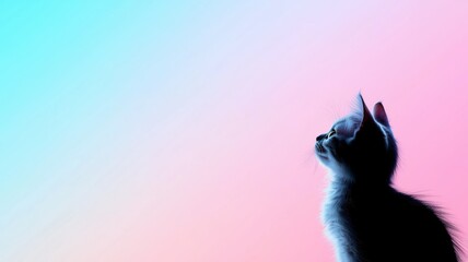 Silhouette of a Cat Against a Colorful Gradient Background in Illustration Style