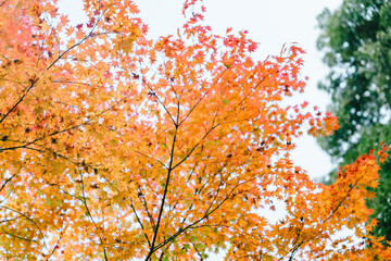 建勲神社の風景