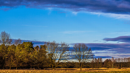 Dzisiejszy wiecz&oacute;r