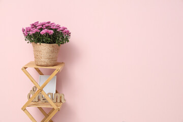 Wicker basket with chrysanthemum flowers on shelving unit against pink background