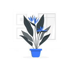 strelitzia plant Cartoon Illustrations