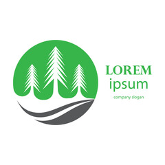 pine tree logo design in the afternoon