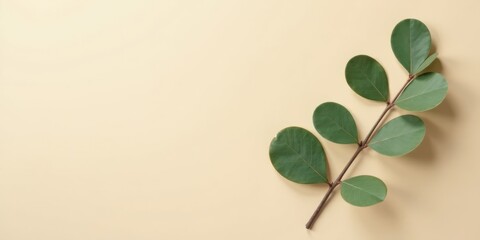Obraz premium Elegant Green Branch with Oval Leaves on a Pale Yellow Background A Simple Nature-Inspired Design Element