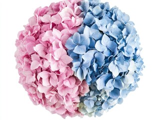 Obraz premium Hydrangea Bouquet