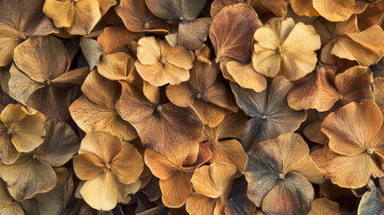 A close-up arrangement of dried flowers in various shades of brown and beige, featuring different sizes and shapes, set against a textured, natural background