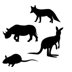 The perfect Animal pictures file free  Download