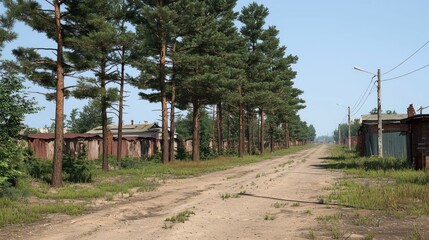 Rural dirt road, pine trees, weathered sheds, summer