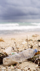 Fototapeta premium Plastic water bottle on a sandy beach, ocean and clouds, polluted nature, waste in sea, single use
