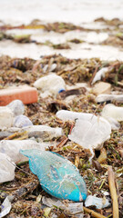 A dead fish in plastic pollution on a beach, microplastics in ocean, trash bottles in nature