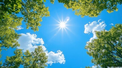 Fototapeta premium Sunny Day, Bright Sky, Green