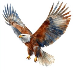 Fototapeta premium Majestic eagle soaring through the sky, showcasing its powerful wings and vibrant plumage against a clear backdrop