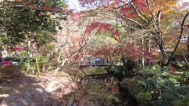 Video about the town of Kinrin LAke Yufuin Japan