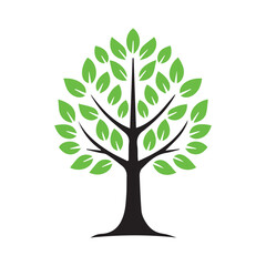 Obraz premium Tree with green leaves