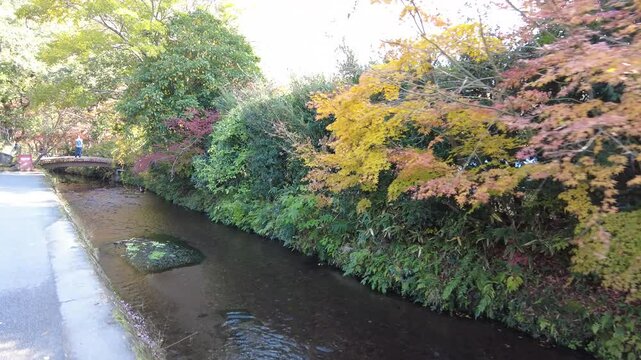 Video about the town of Kinrin LAke Yufuin Japan