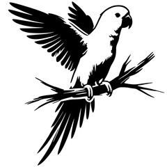 Silhouette of a parrot