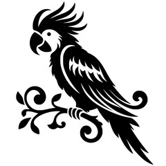 Silhouette of a parrot