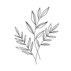 Fototapeta premium Minimalist line-art flowers and leaves in black and white for a chic, modern look