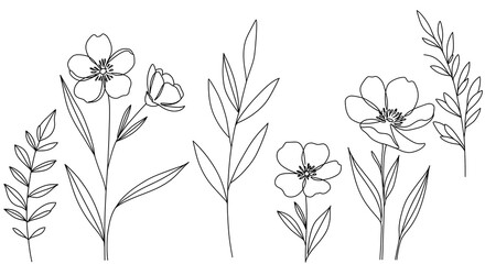 Minimalist line-art flowers and leaves in black and white for a chic, modern look