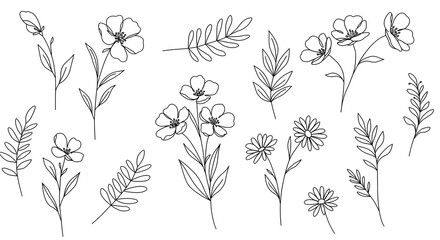 Minimalist line-art flowers and leaves in black and white for a chic, modern look