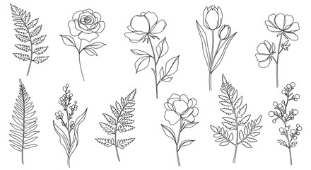 Minimalist line-art flowers and leaves in black and white for a chic, modern look