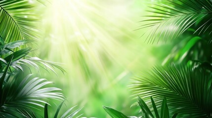 Obraz premium Sunbeams through lush tropical foliage