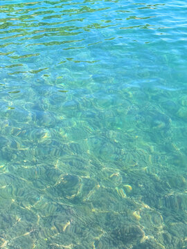 Sea underwater algae clean water surface.