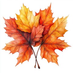 Obraz premium Vibrant autumn leaves in shades of orange and red, showcasing nature's beauty in a seasonal display