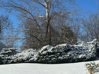 Winter snowscape landscape