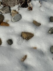 Garden rocks in winter