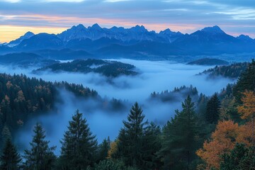 Obraz premium Fog Enveloping Mountain Forest in Eastern Chiemgau Alps of Bavaria During Sunrise. Generative AI