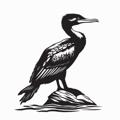 Cormorant On A Rock Images Vector Isolated on white background.