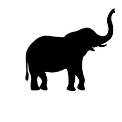 elephant silhouette