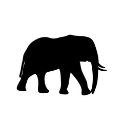 elephant silhouette