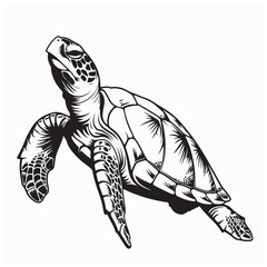 Fototapeta premium Turtle Vector Images. Drawing Big Turtle Vector Illustration on white background.