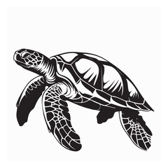 Fototapeta premium Turtle Vector Images. Drawing Big Turtle Vector Illustration on white background.
