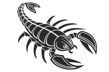 scorpion illustration