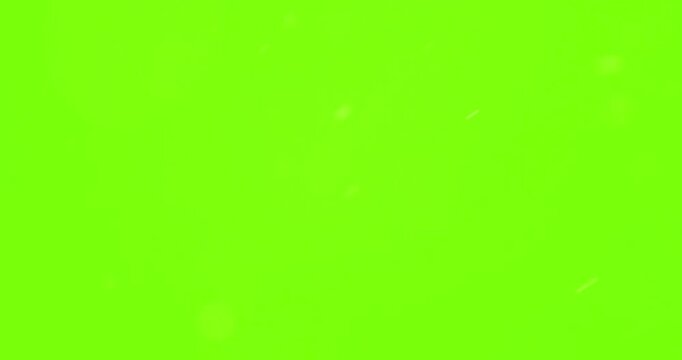Particle, Fire Embers With Green Screen Use