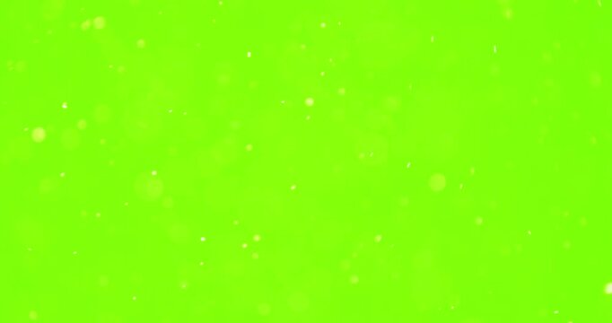 Particle, Fire Embers With Green Screen Use