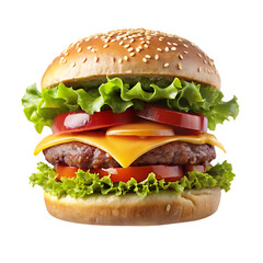 Hamburger with lettuce, tomato, and cheese